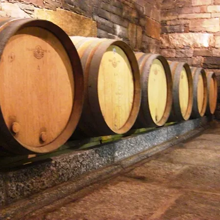 Agriturismo Cantina Carrara Gordola