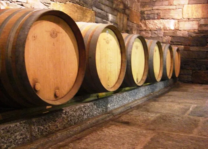 Cantina Carrara Gordola